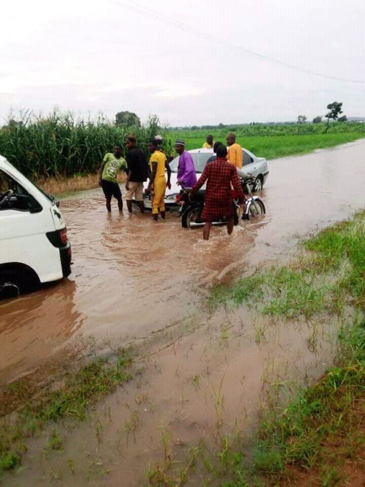 Congo Animal Rescue Responds to Flood Emergency