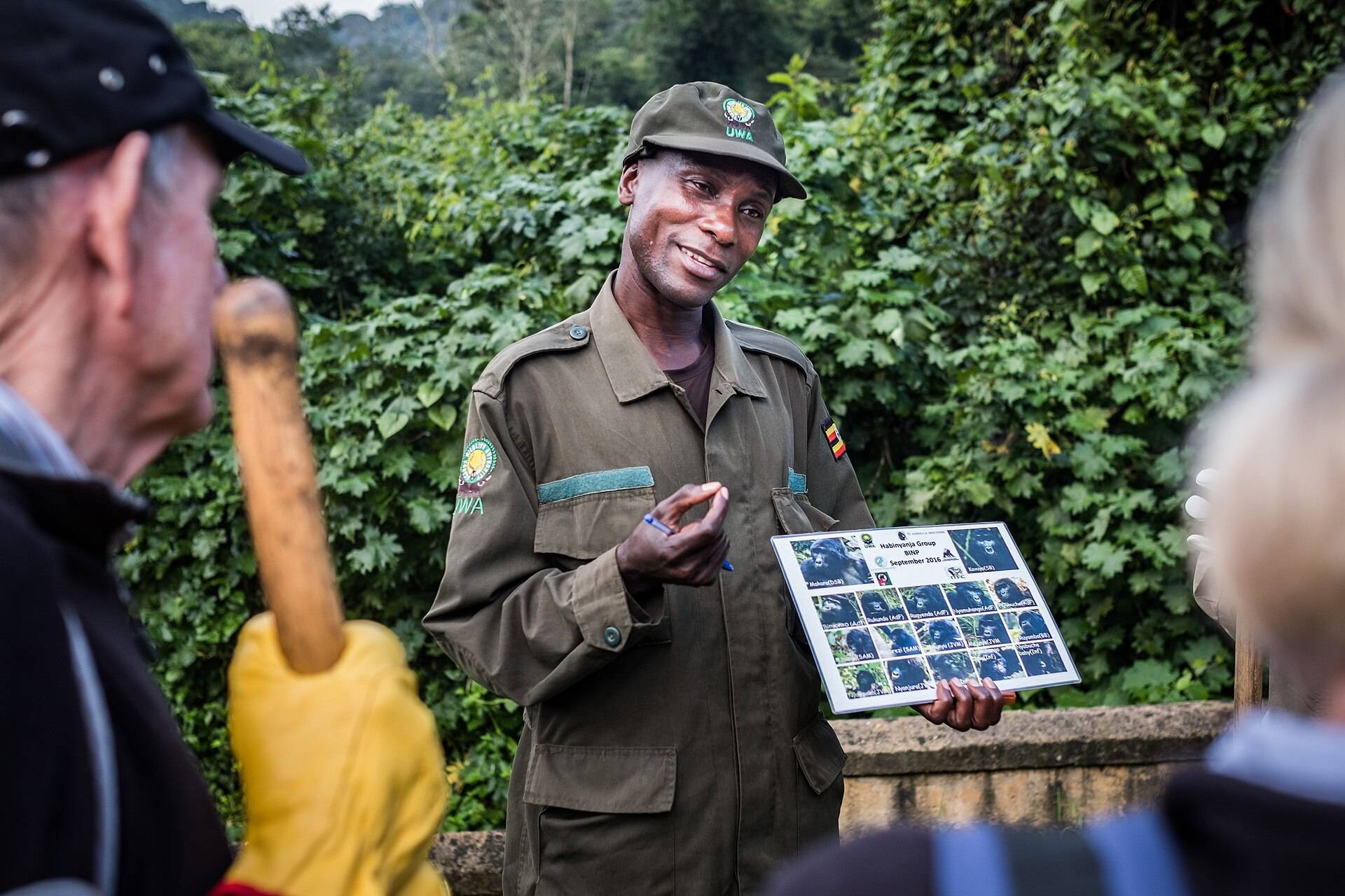 A park ranger showing a gorilla family health record to visitors in the forest