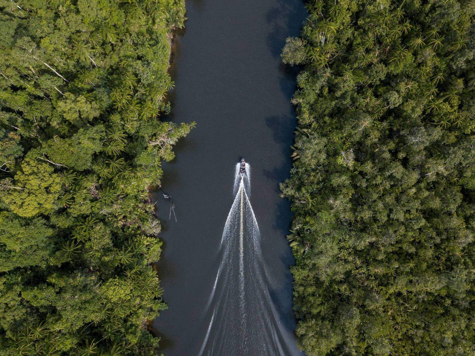 An aerial view of a ranger patrol boat moving along a river through dense Congo Basin forest