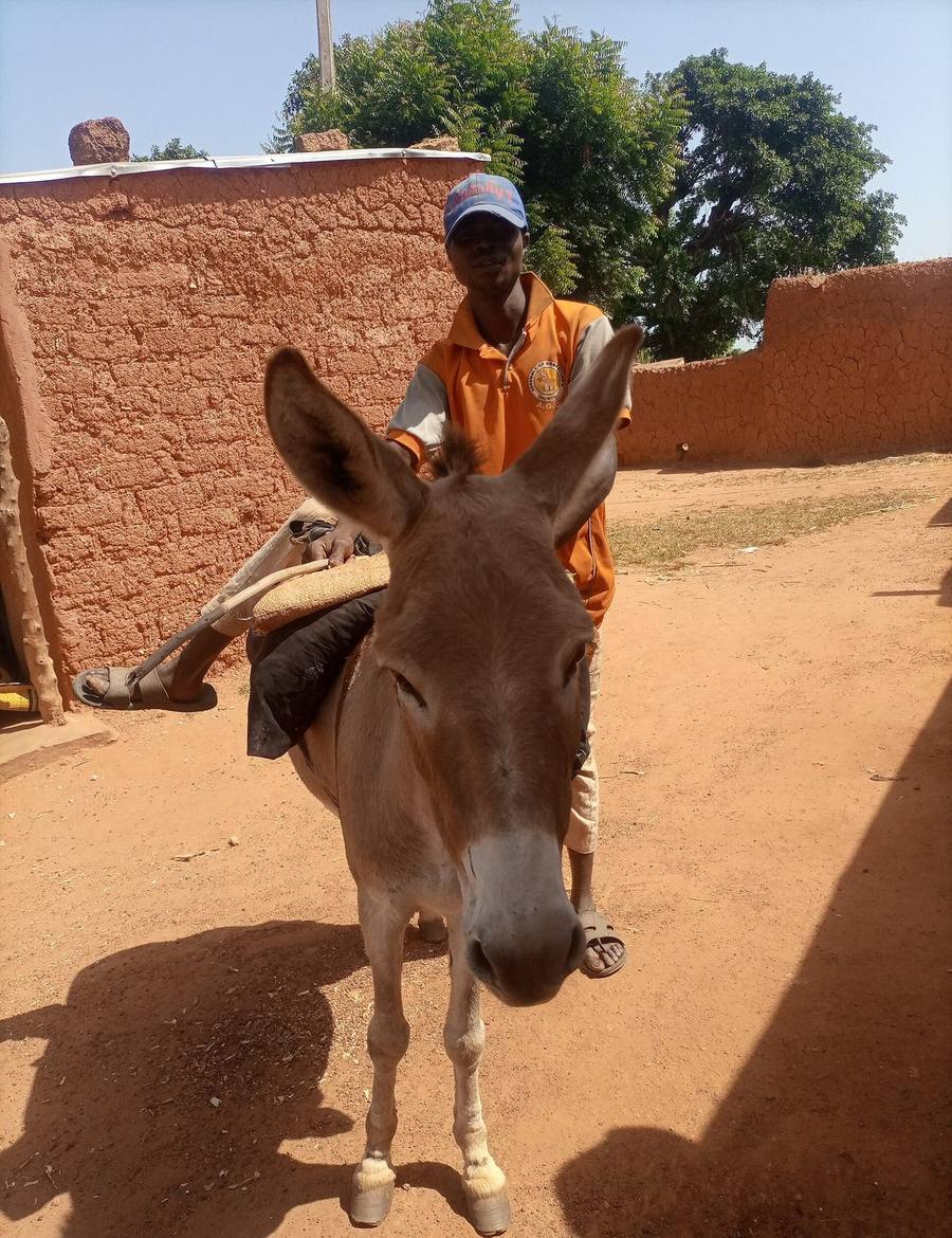 Donkey rider in Northern Nigeria